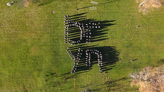 Bilde 5 av 8 i jobbannonse-galleriet