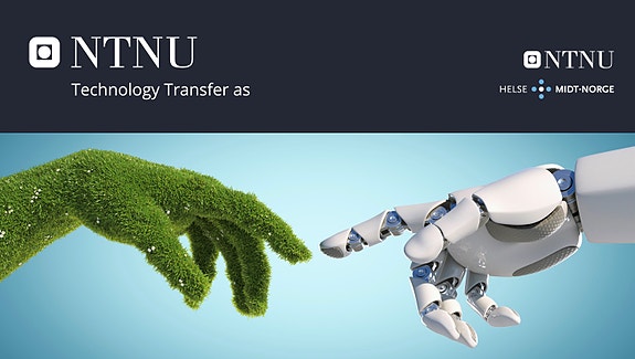 Bilde 2 av 2 i jobbannonse-galleriet