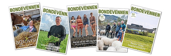 Bilde 1 av 1 i jobbannonse-galleriet