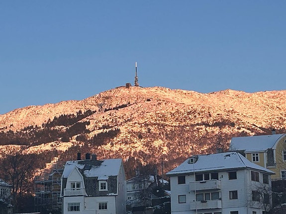 Bilde 2 av 2 i jobbannonse-galleriet