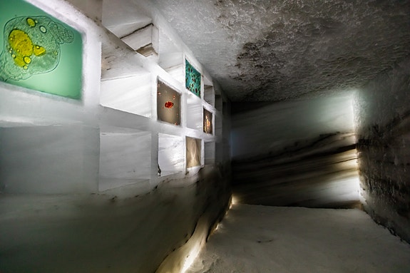 Bilde 8 av 8 i jobbannonse-galleriet