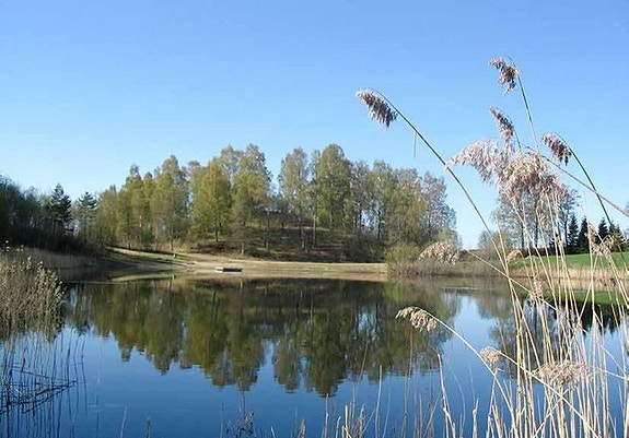 Bilde 1 av 1 i jobbannonse-galleriet