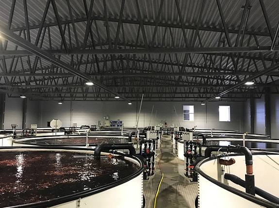 Bilde 1 av 4 i jobbannonse-galleriet