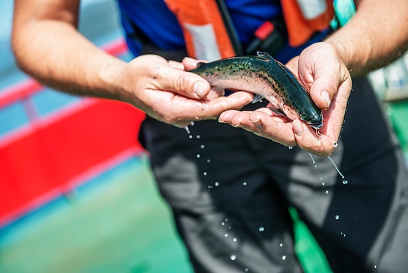 Bilde 4 av 4 i jobbannonse-galleriet