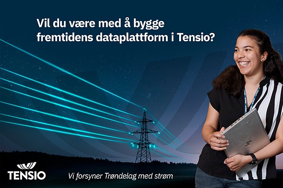 Bilde 1 av 4 i jobbannonse-galleriet