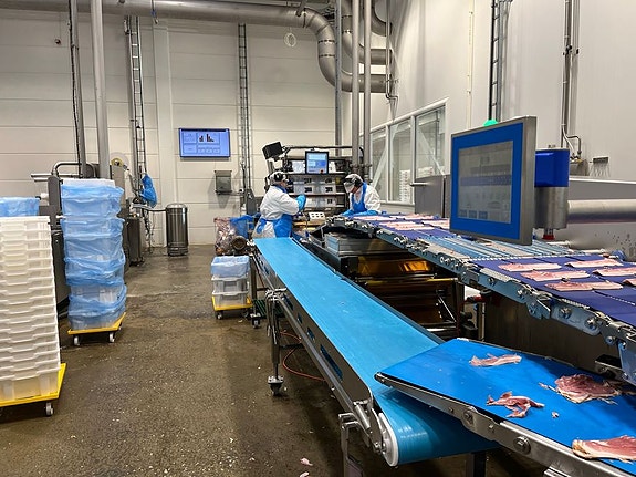 Bilde 3 av 6 i jobbannonse-galleriet