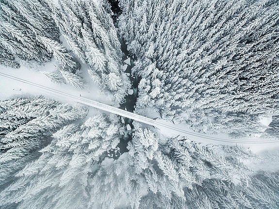 Bilde 1 av 2 i jobbannonse-galleriet