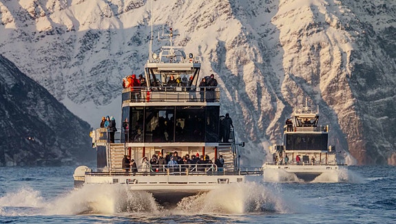 Bilde 1 av 1 i jobbannonse-galleriet