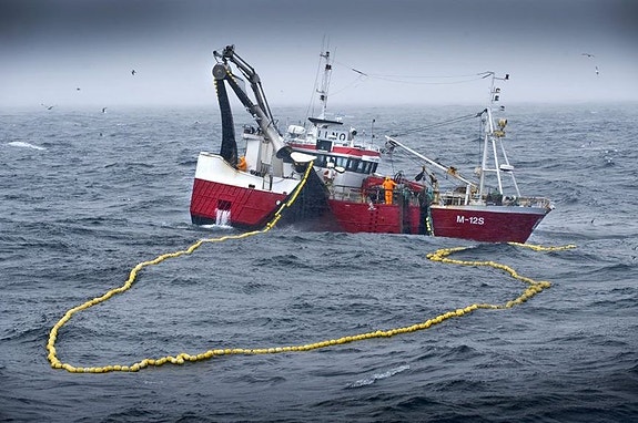 Bilde 5 av 7 i jobbannonse-galleriet