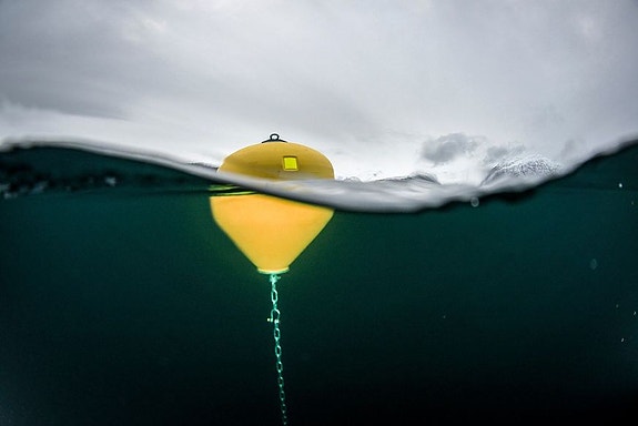 Bilde 6 av 7 i jobbannonse-galleriet