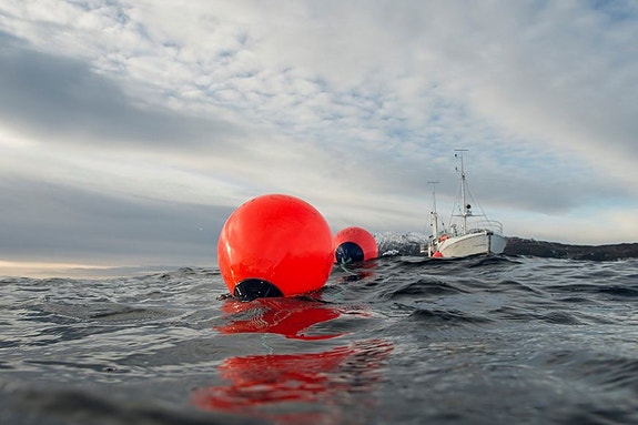 Bilde 1 av 7 i jobbannonse-galleriet