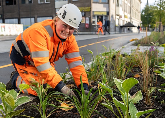 Bilde 6 av 7 i jobbannonse-galleriet
