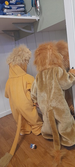 Bilde 3 av 3 i jobbannonse-galleriet