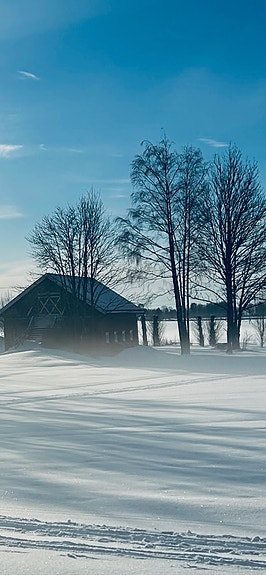 Bilde 1 av 1 i jobbannonse-galleriet