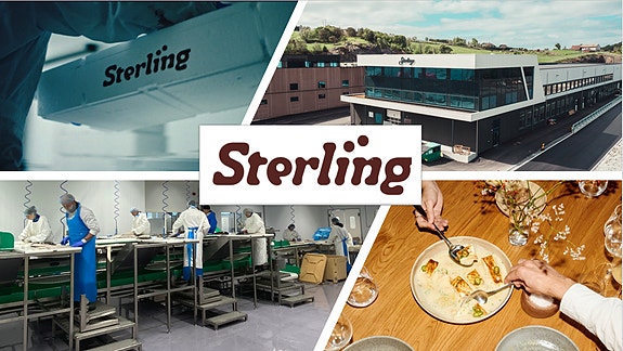 Bilde 1 av 1 i jobbannonse-galleriet