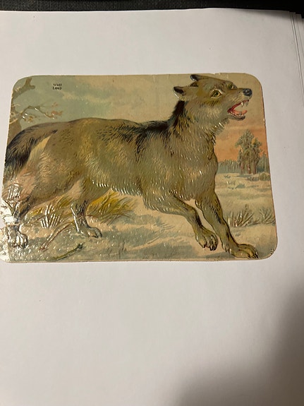 Product image 2 of 10