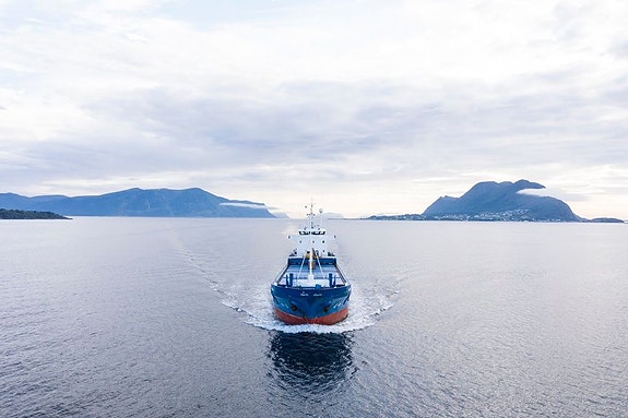 Bilde 3 av 6 i jobbannonse-galleriet