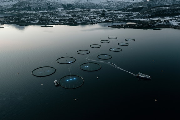 Bilde 7 av 10 i jobbannonse-galleriet