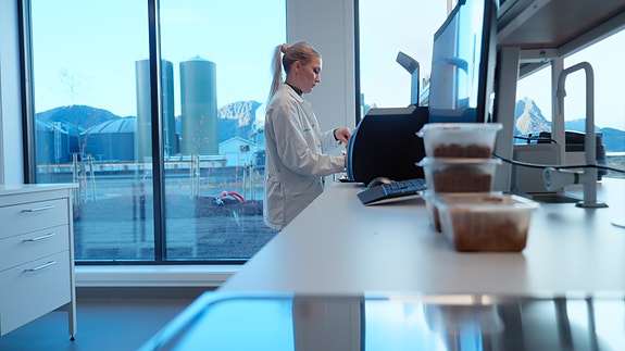 Bilde 2 av 4 i jobbannonse-galleriet