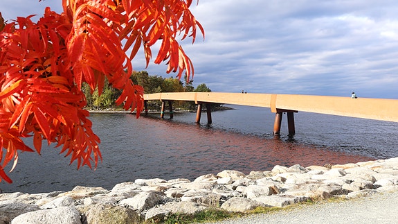 Bilde 2 av 4 i jobbannonse-galleriet