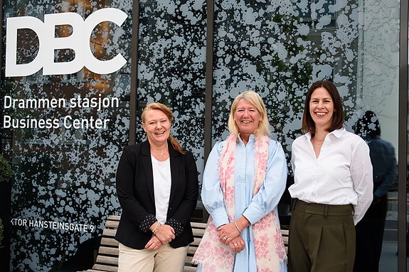 Bilde 2 av 3 i jobbannonse-galleriet