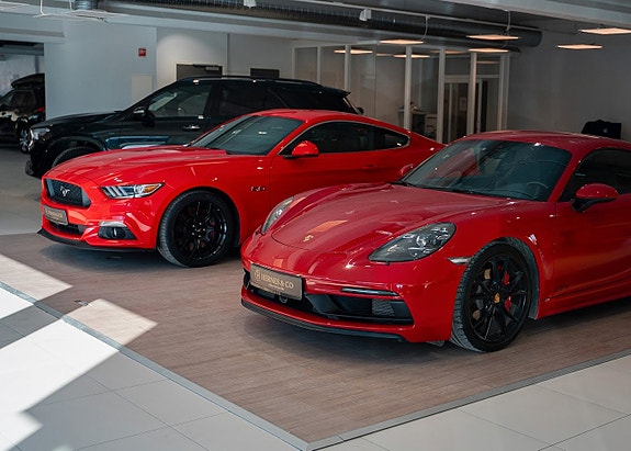 Bilde 3 av 5 i jobbannonse-galleriet