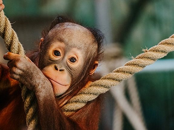 Bilde 1 av 1 i jobbannonse-galleriet