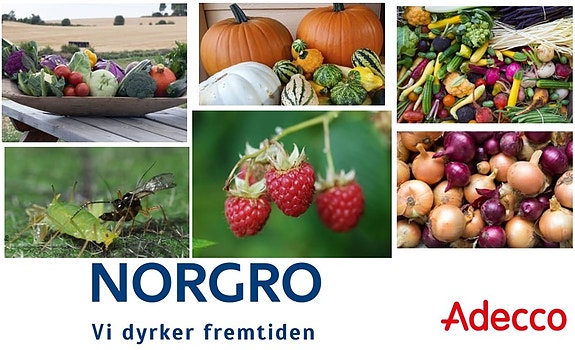 Bilde 1 av 1 i jobbannonse-galleriet