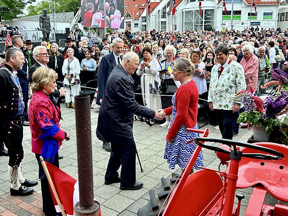 Bilde 1 av 1 i jobbannonse-galleriet