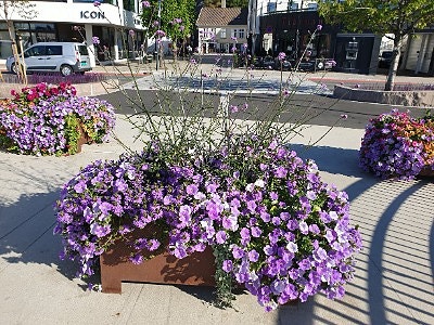 Bilde 1 av 1 i jobbannonse-galleriet