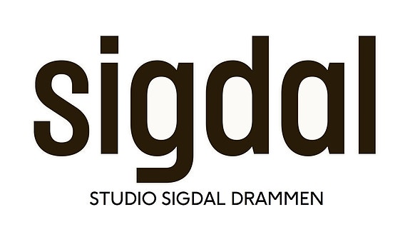 Studio Sigdal Drammen logo