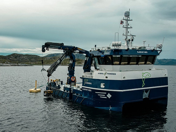 Bilde 2 av 4 i jobbannonse-galleriet