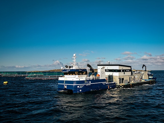 Bilde 3 av 4 i jobbannonse-galleriet