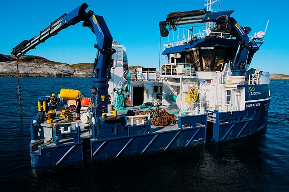 Bilde 4 av 4 i jobbannonse-galleriet