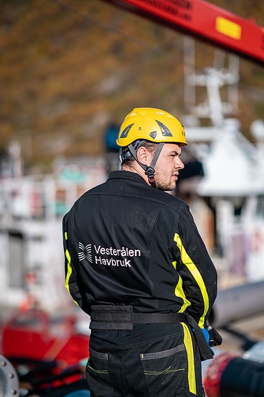 Bilde 4 av 5 i jobbannonse-galleriet