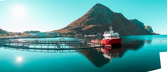 Bilde 1 av 5 i jobbannonse-galleriet