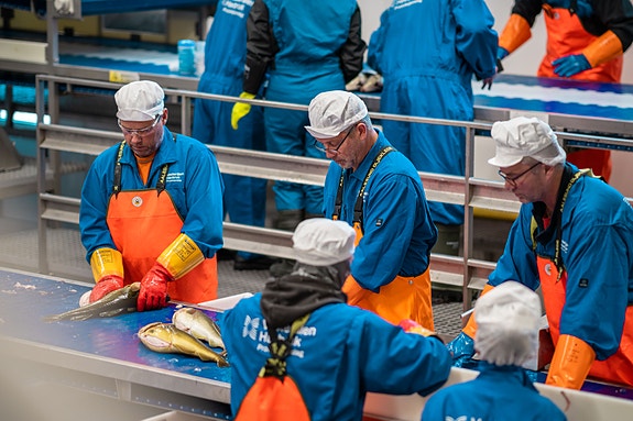 Bilde 3 av 5 i jobbannonse-galleriet