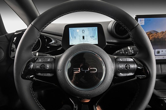 BYD Dolphin 15 of 27