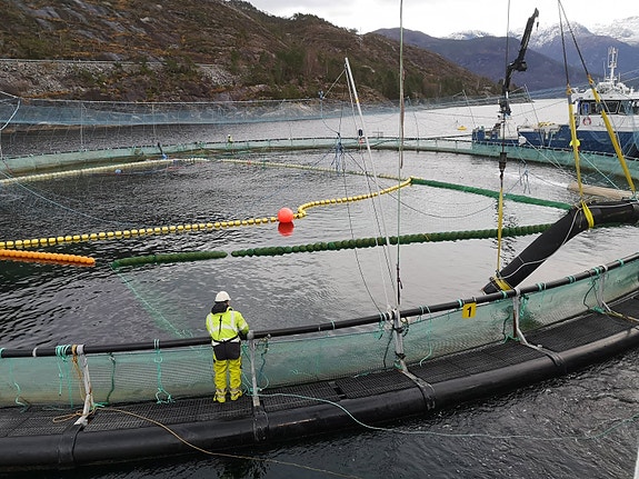 Bilde 4 av 5 i jobbannonse-galleriet