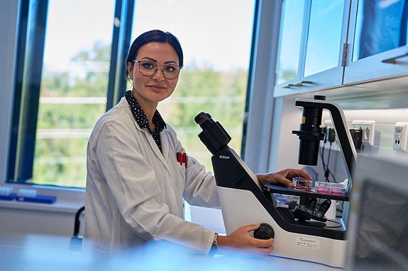 Bilde 3 av 3 i jobbannonse-galleriet