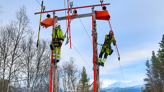 Bilde 1 av 1 i jobbannonse-galleriet