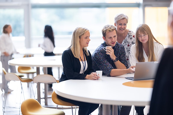 Bilde 4 av 5 i jobbannonse-galleriet