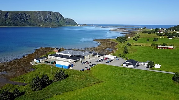 Bilde 1 av 5 i jobbannonse-galleriet