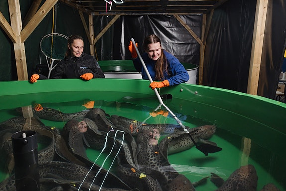 Bilde 1 av 1 i jobbannonse-galleriet