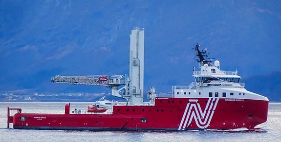 Bilde 3 av 8 i jobbannonse-galleriet