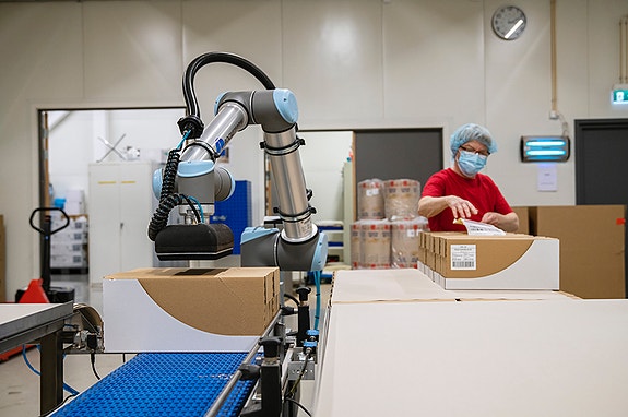 Bilde 2 av 6 i jobbannonse-galleriet