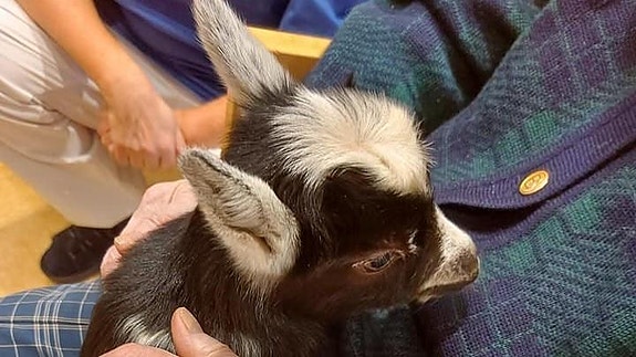 Bilde 4 av 5 i jobbannonse-galleriet