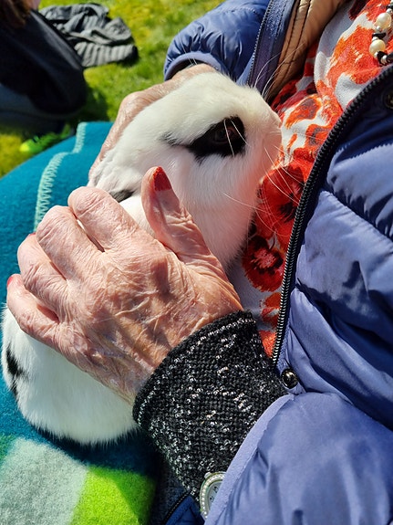 Bilde 2 av 5 i jobbannonse-galleriet