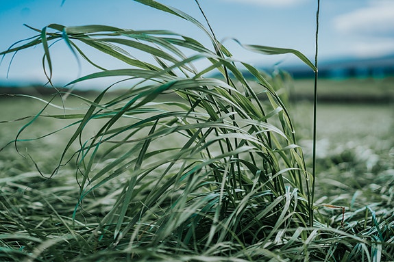 Bilde 4 av 6 i jobbannonse-galleriet