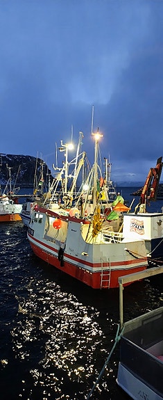 M/S SOLRINGEN - LF5183 10 of 22